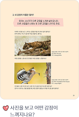 사진을 보고 어떤 감정이 느껴지나요?