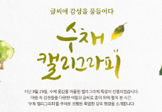 교사문화 프로그램 썸네일