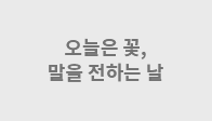 이벤트이미지
