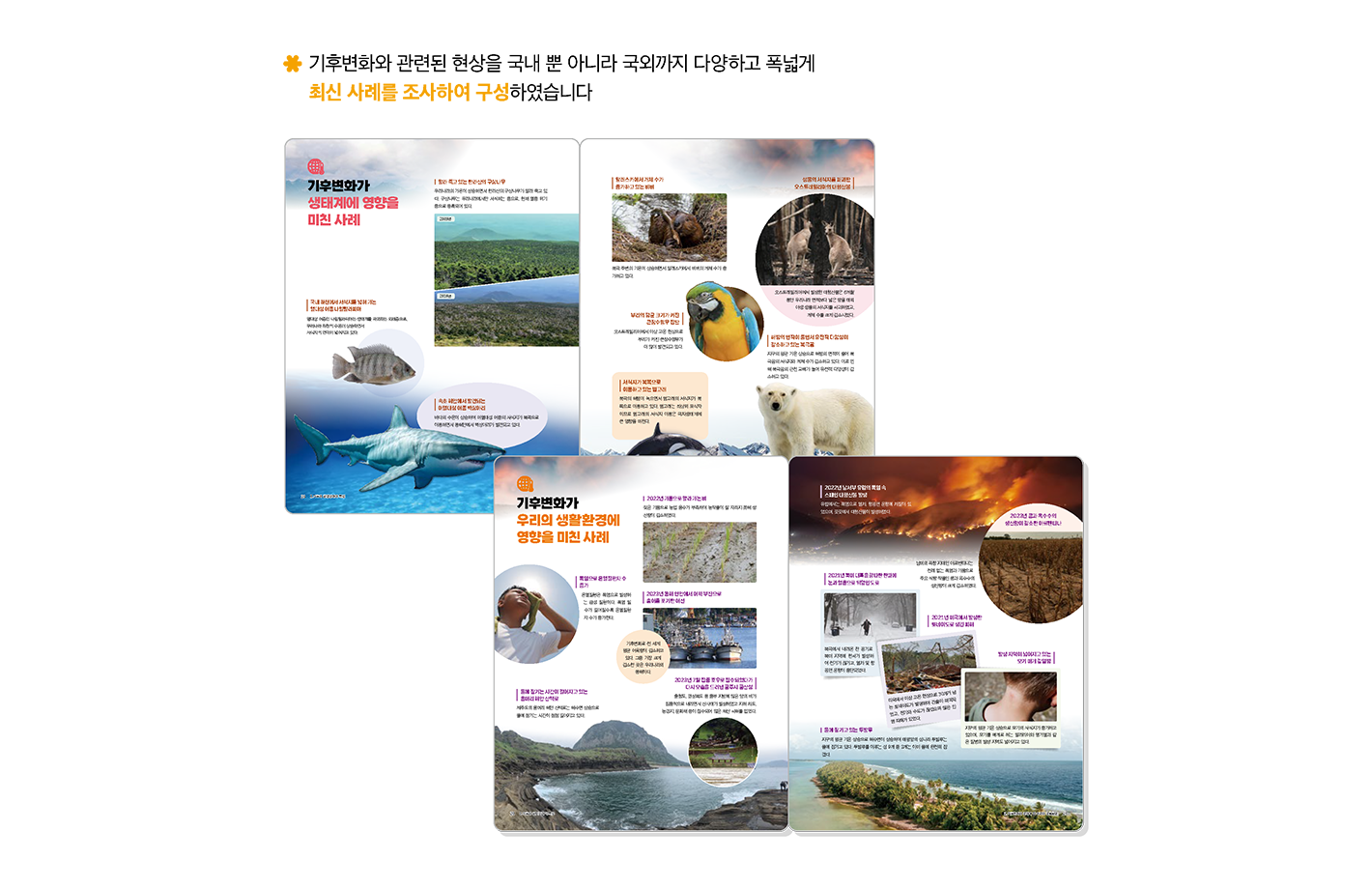 교과서특장점_3_1.png