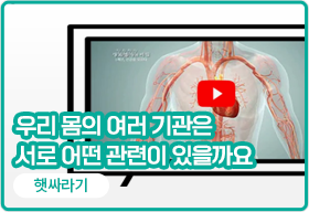 인기 쌤자료 